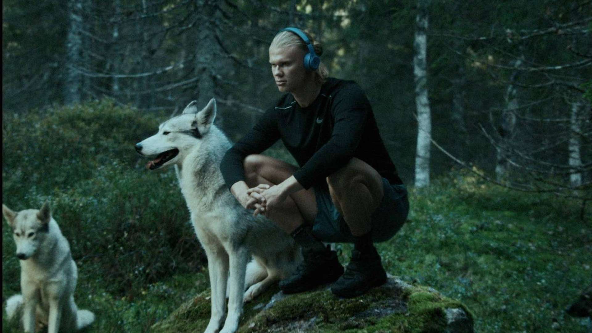 预赛不仅是 预赛不仅是